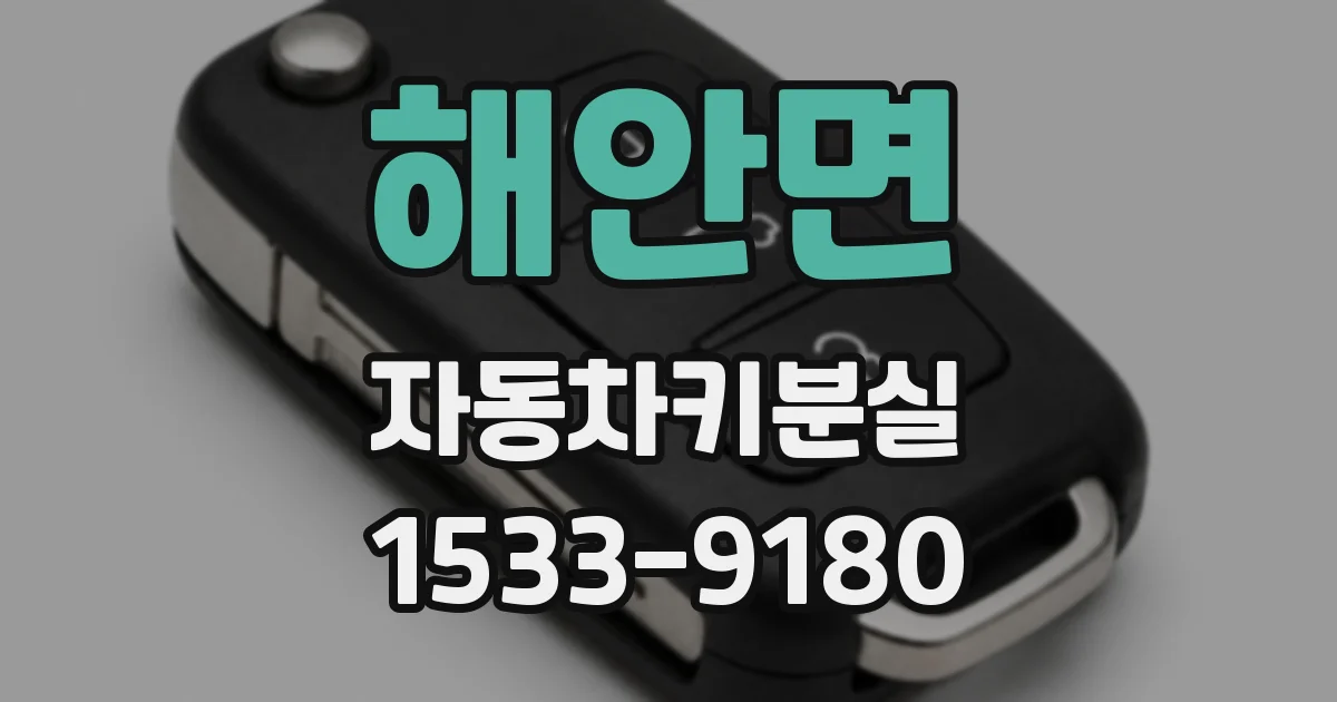 해안면 자동차키분실