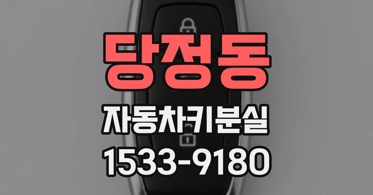 당정동 자동차키분실