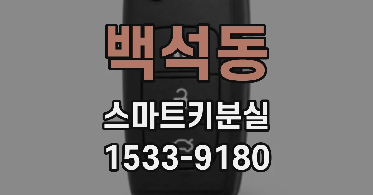 백석동 스마트키분실