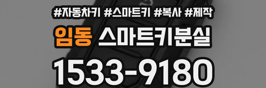 임동 스마트키분실