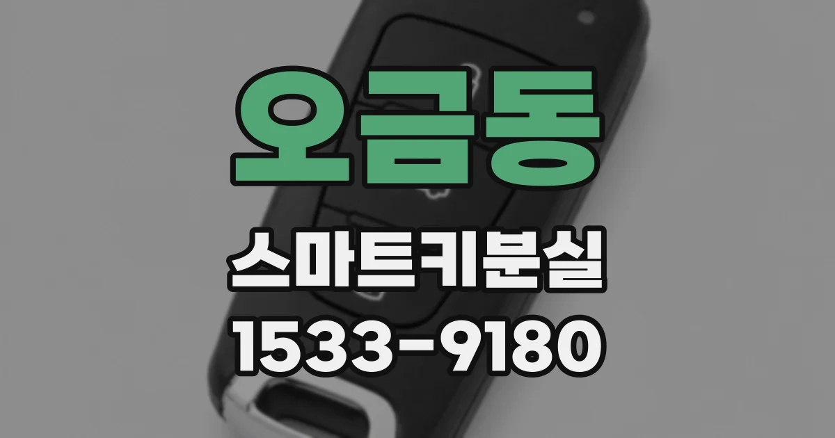 오금동 스마트키분실