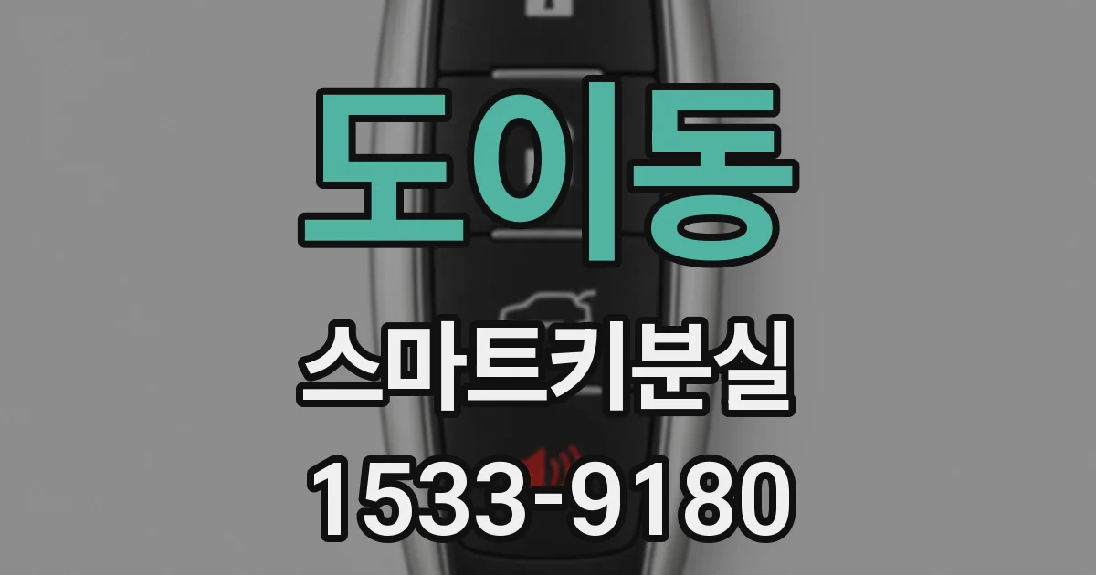 도이동 스마트키분실