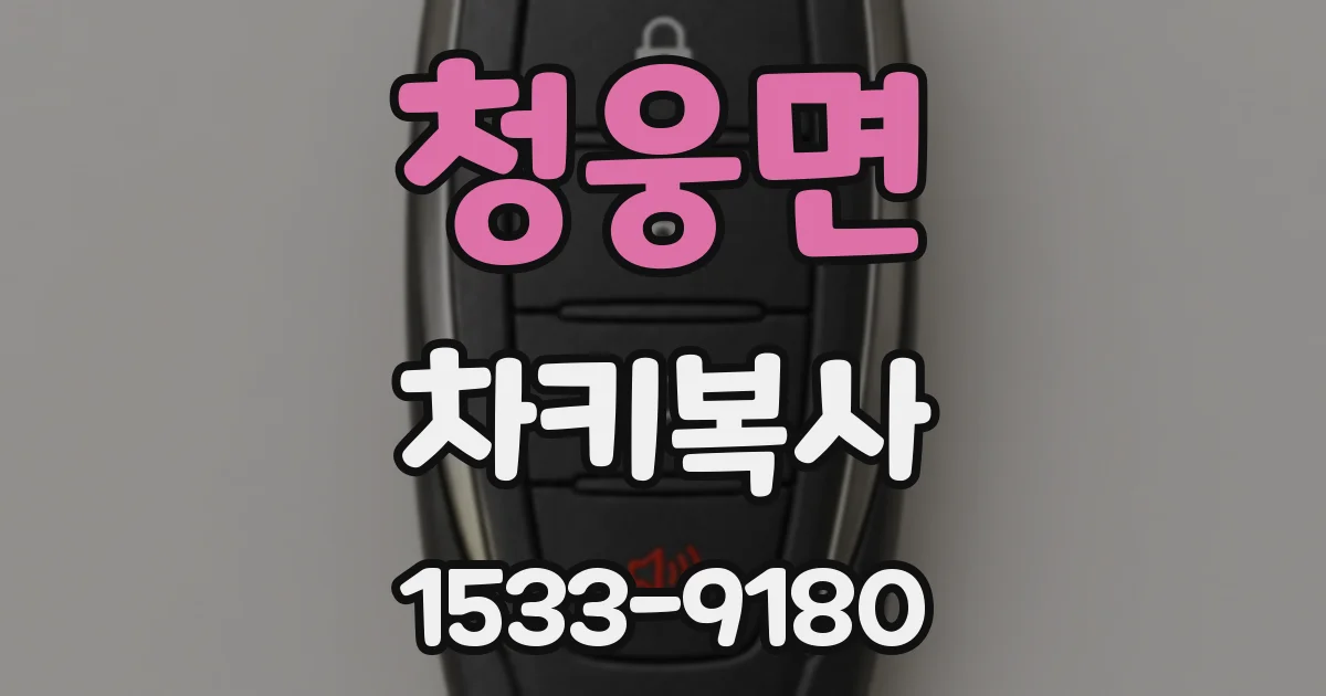 청웅면 차키복사