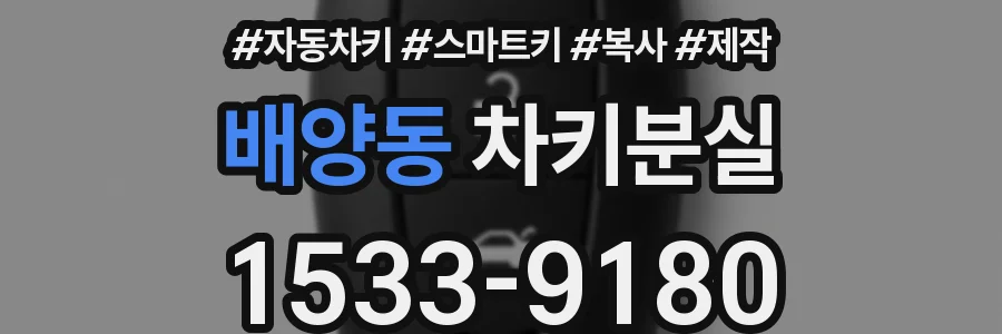 배양동 차키분실