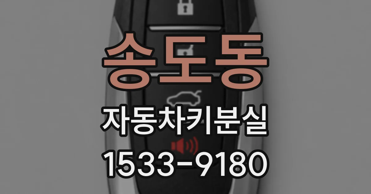 송도동 자동차키분실