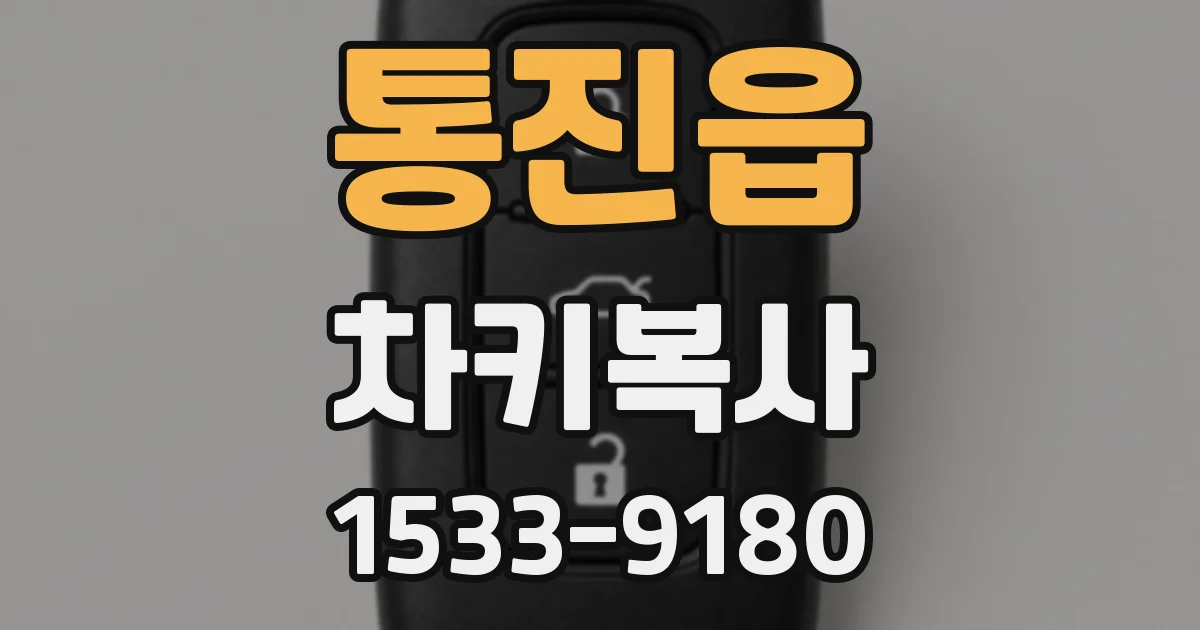 통진읍 차키복사