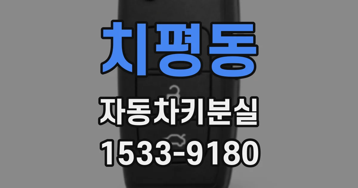 치평동 자동차키분실