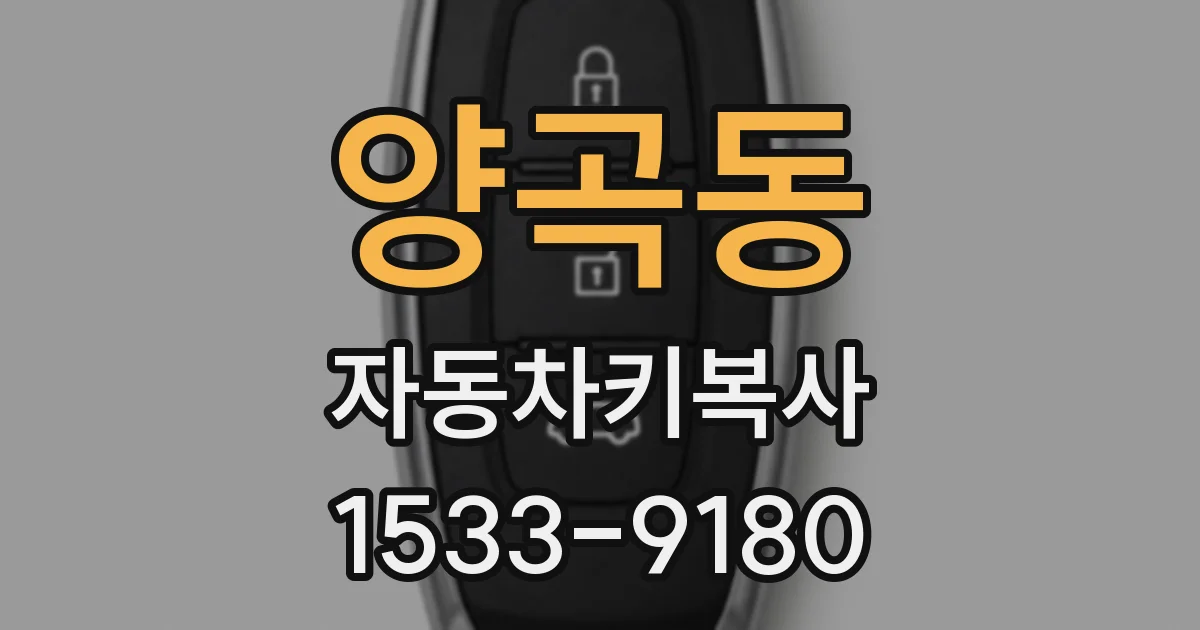 양곡동 자동차키복사