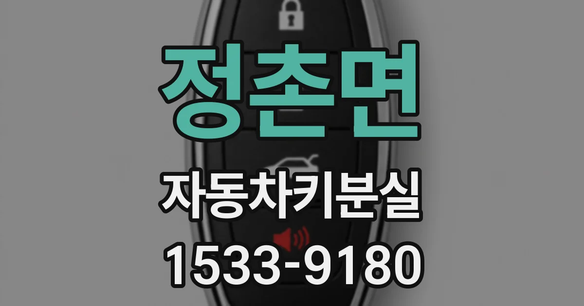정촌면 자동차키분실