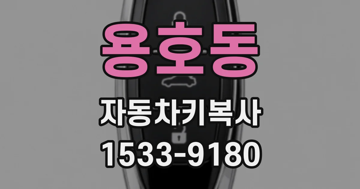 용호동 자동차키복사