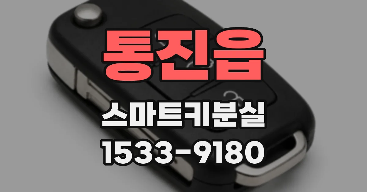 통진읍 스마트키분실
