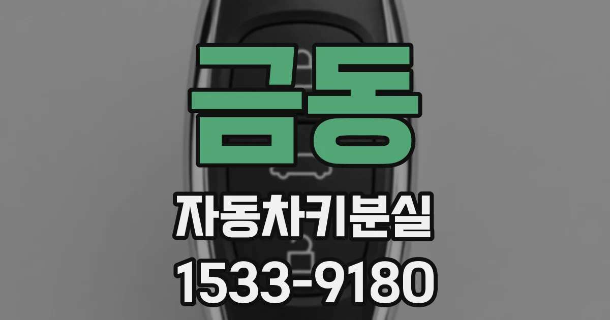 금동 자동차키분실