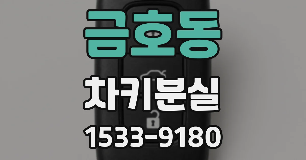 금호동 차키분실