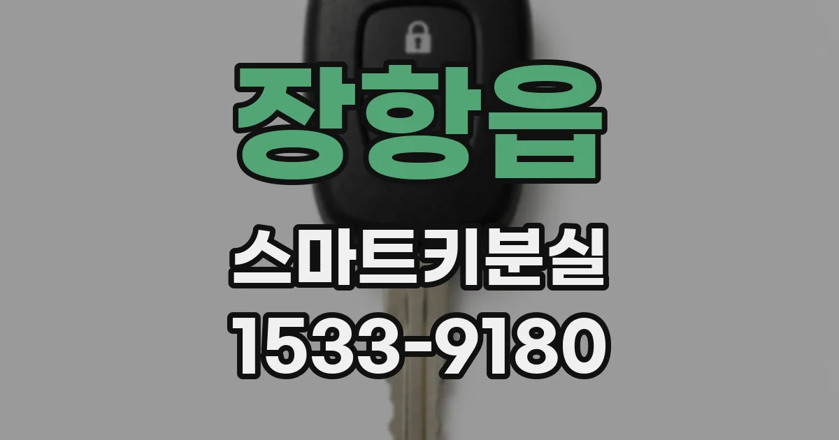 장항읍 스마트키분실