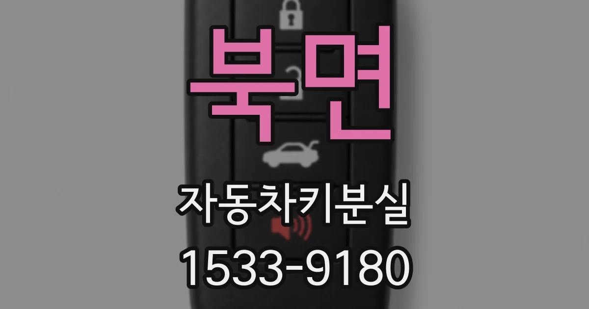 북면 자동차키분실