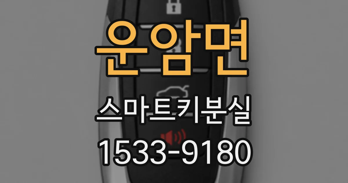 운암면 스마트키분실