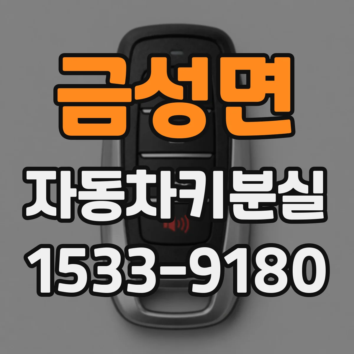 금성면 자동차키분실