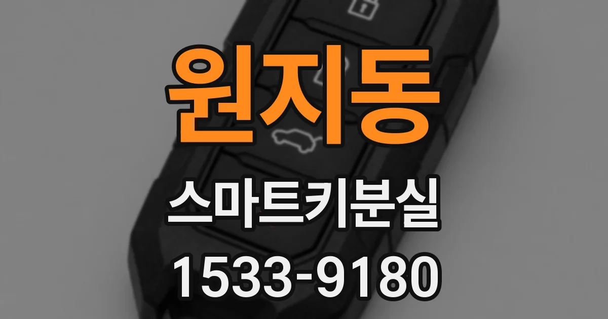 원지동 스마트키분실