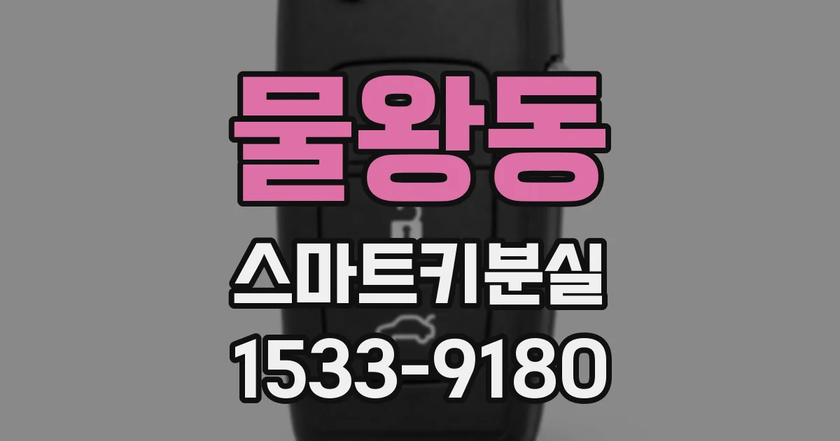 물왕동 스마트키분실