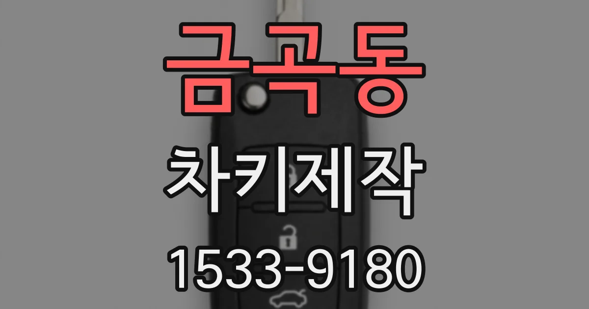 금곡동 차키제작