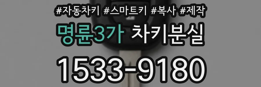 명륜3가 차키분실
