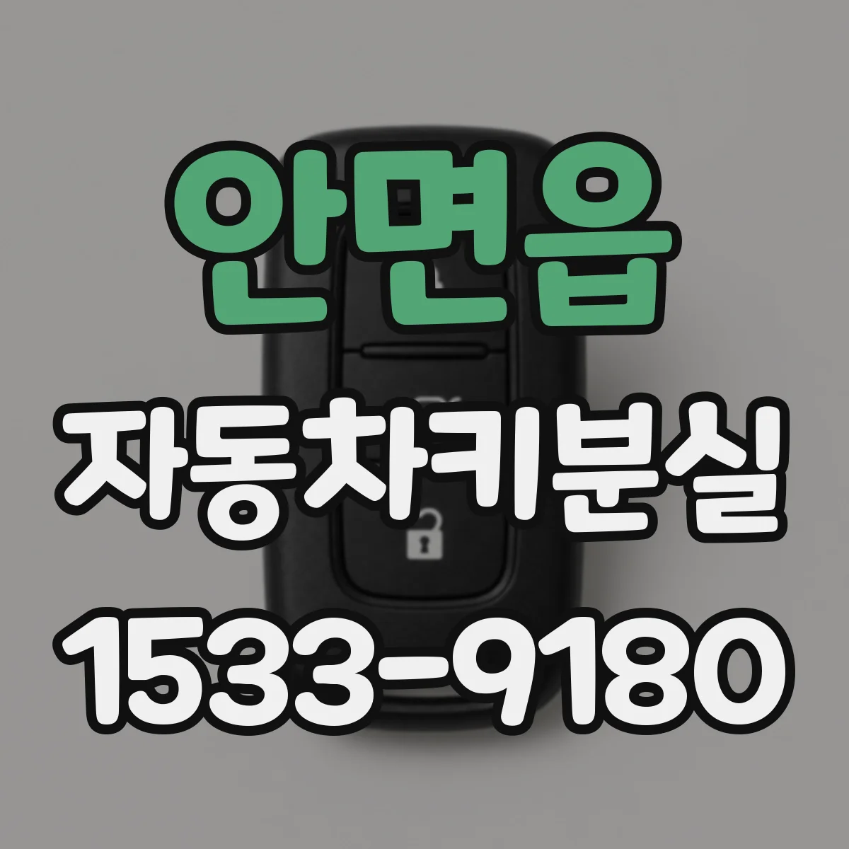 안면읍 자동차키분실