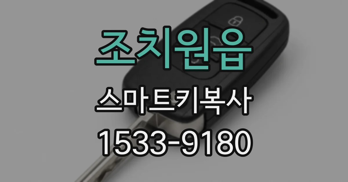 조치원읍 스마트키복사
