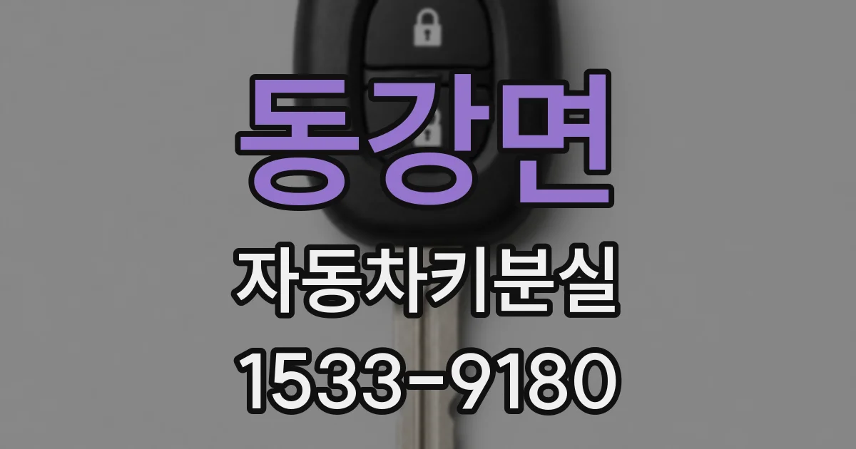 동강면 자동차키분실