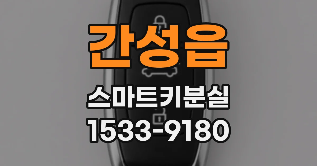 간성읍 스마트키분실