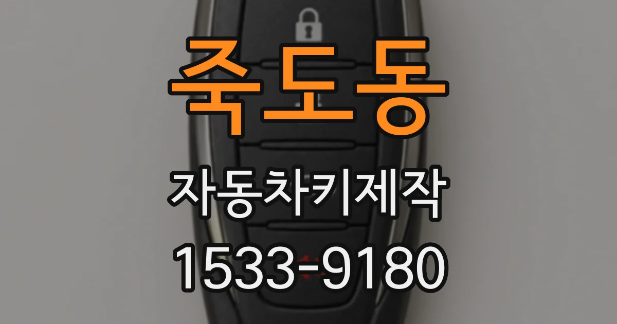 죽도동 자동차키제작