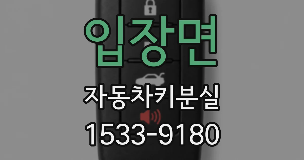 입장면 자동차키분실