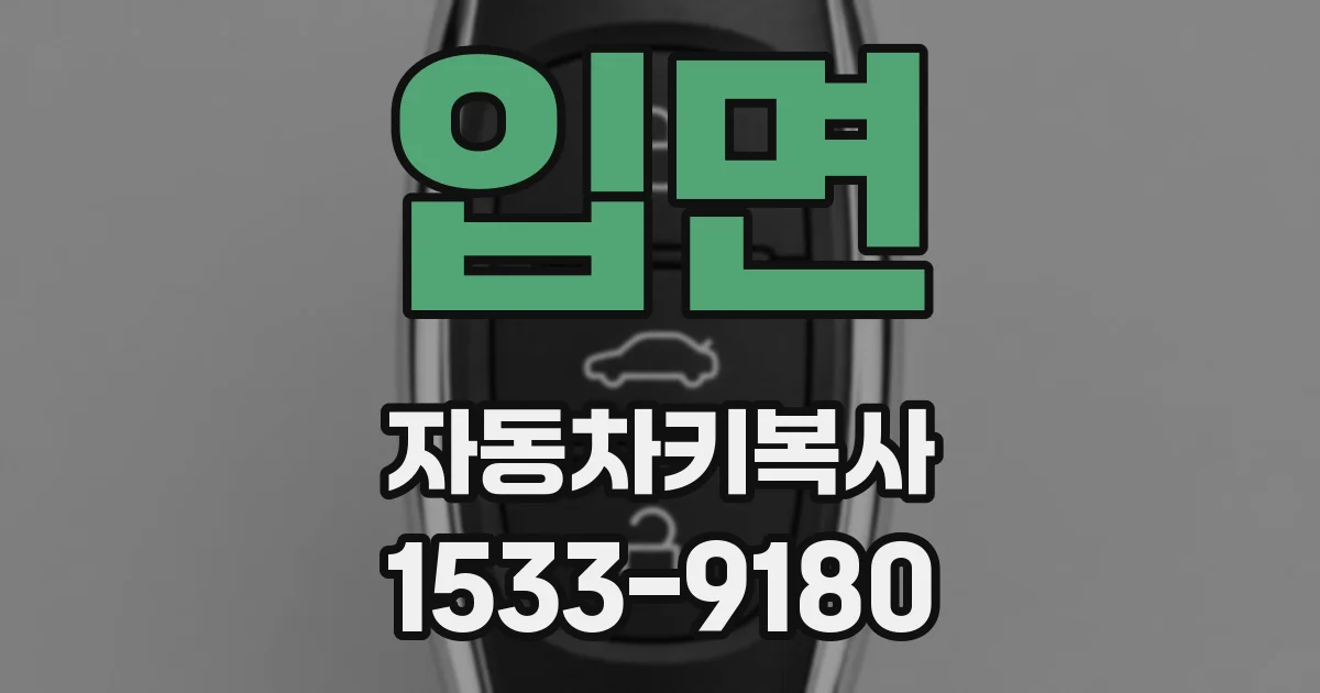 입면 자동차키복사