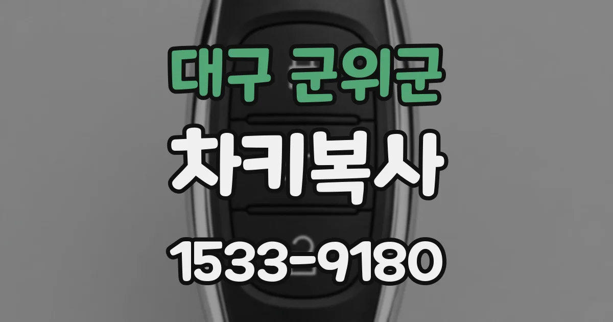 대구 군위군 차키복사