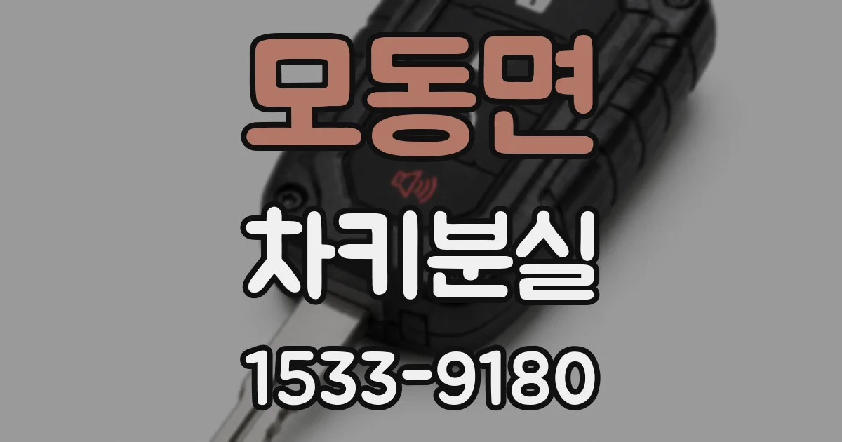 모동면 차키분실