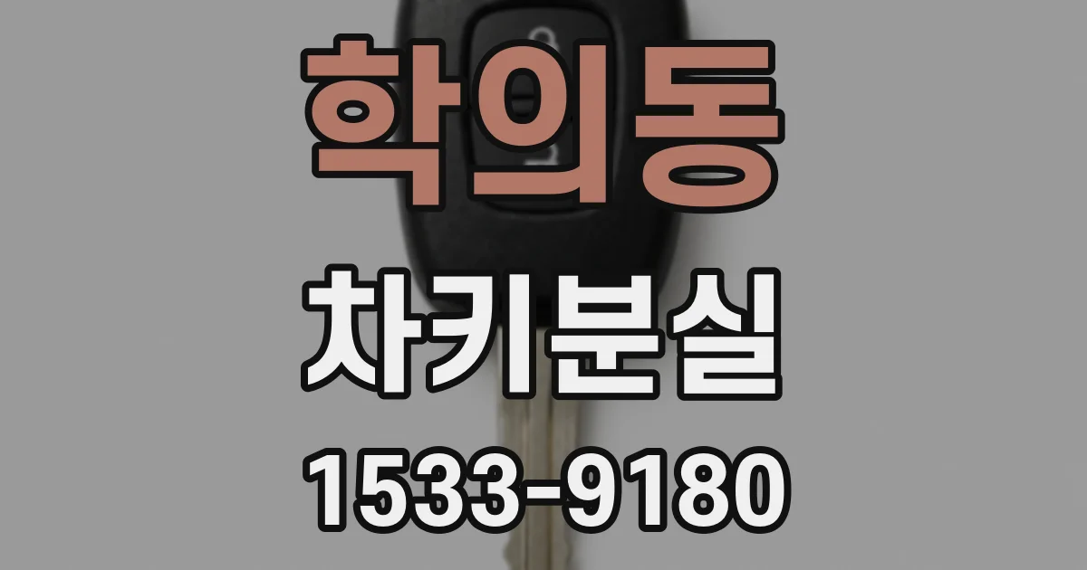 학의동 차키분실