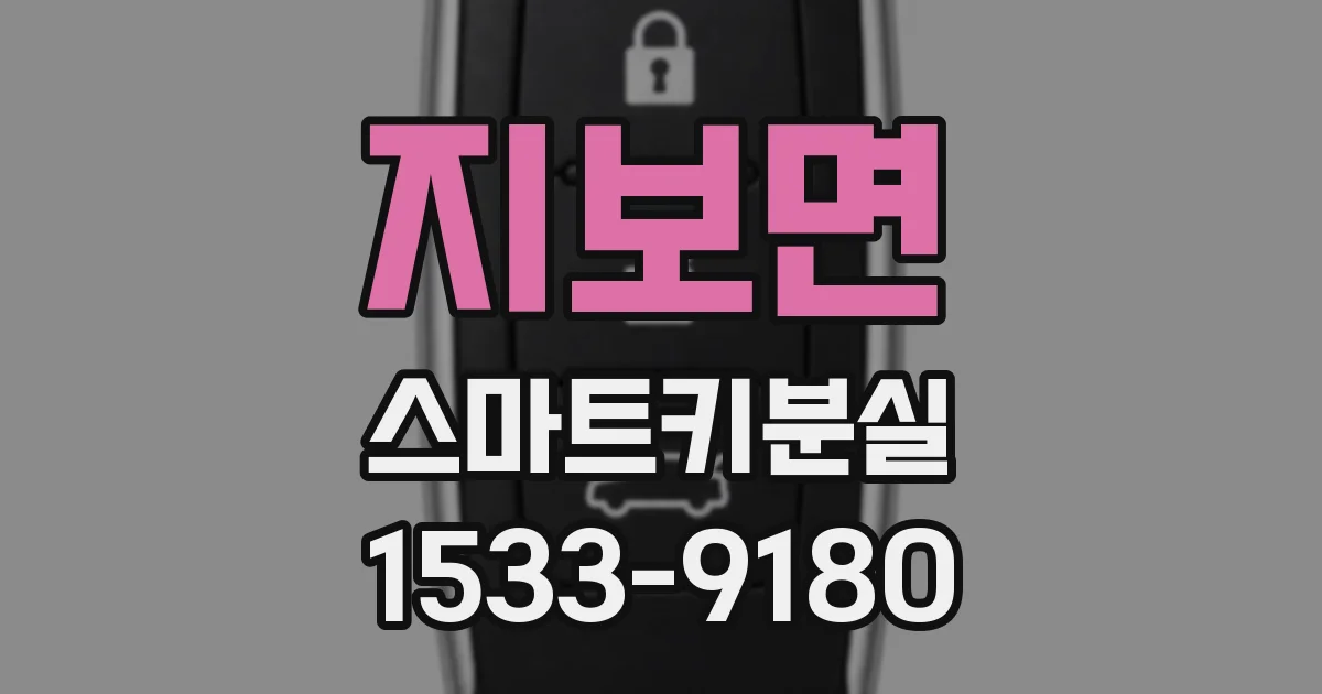 지보면 스마트키분실