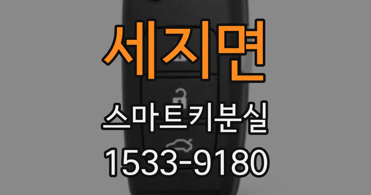 세지면 스마트키분실