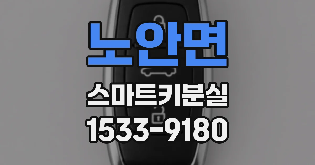 노안면 스마트키분실