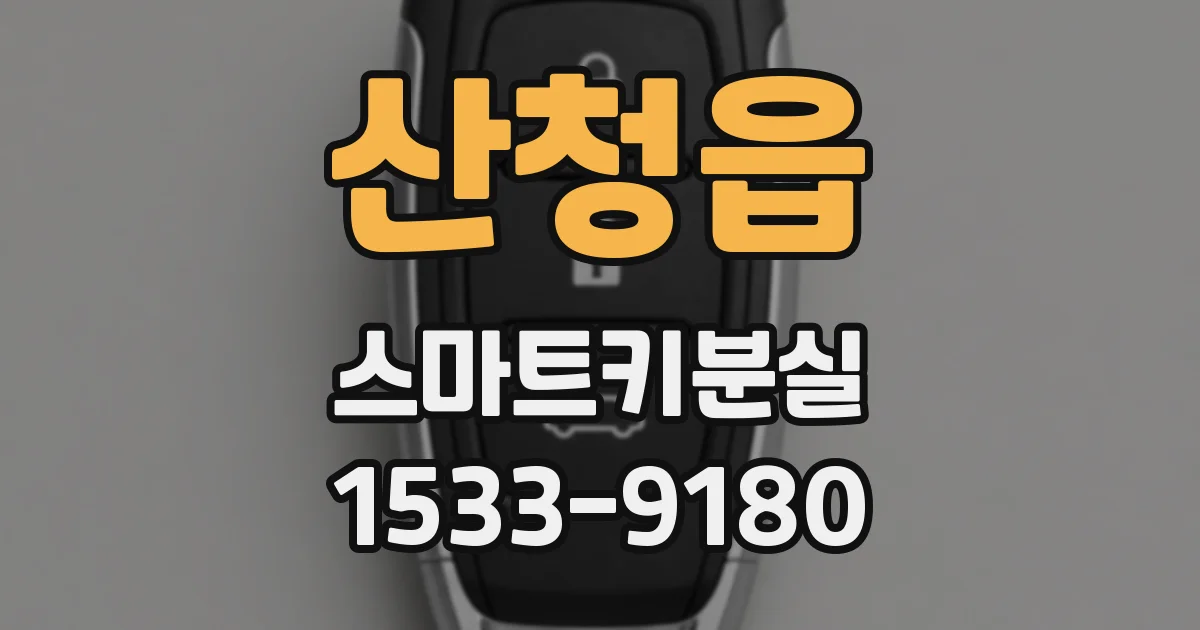 산청읍 스마트키분실