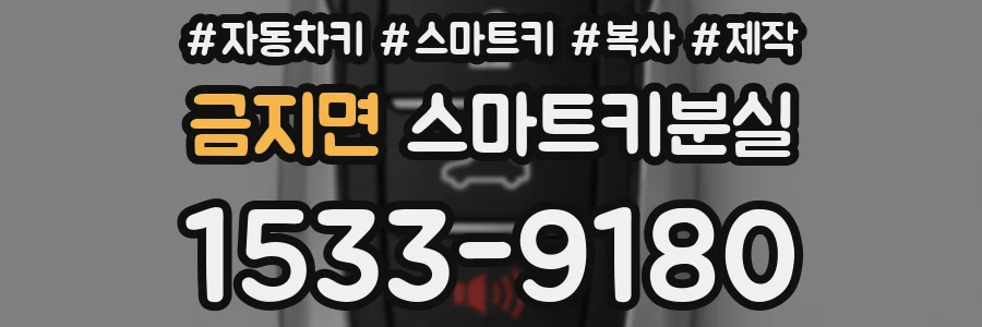 금지면 스마트키분실