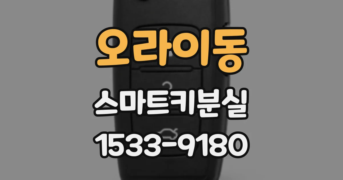 오라이동 스마트키분실
