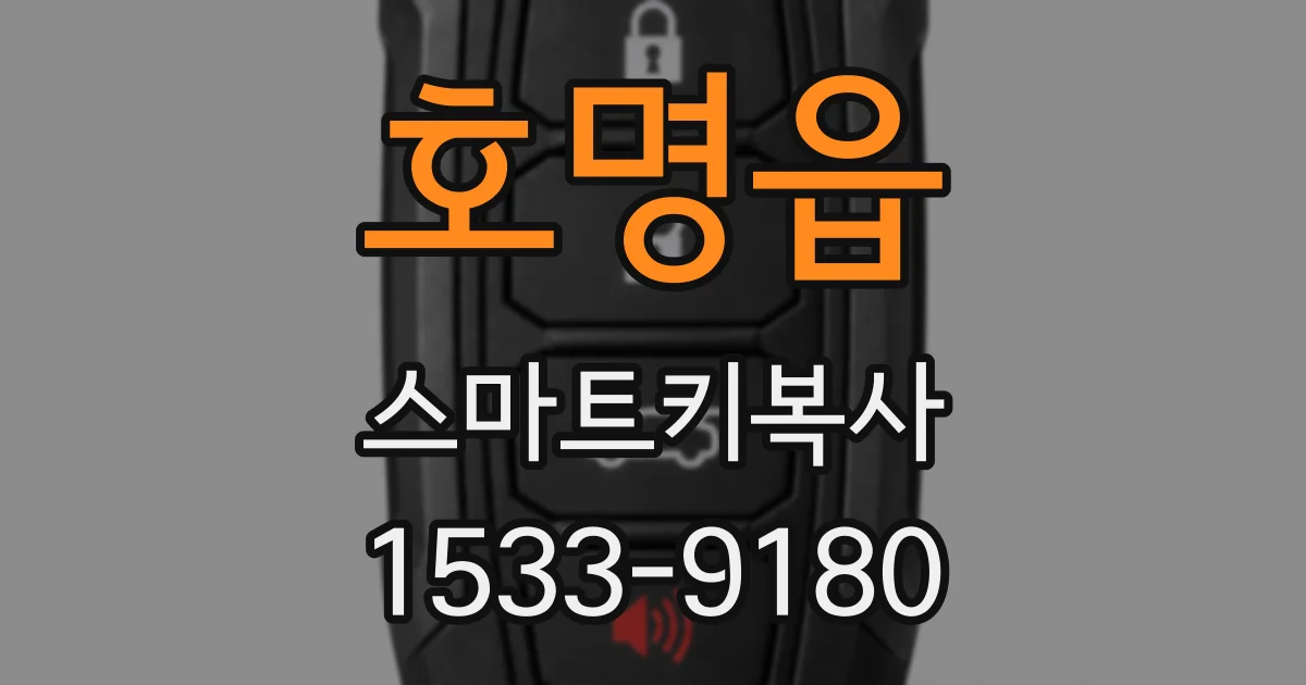호명읍 스마트키복사