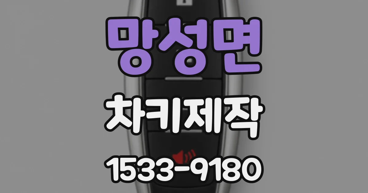 망성면 차키제작