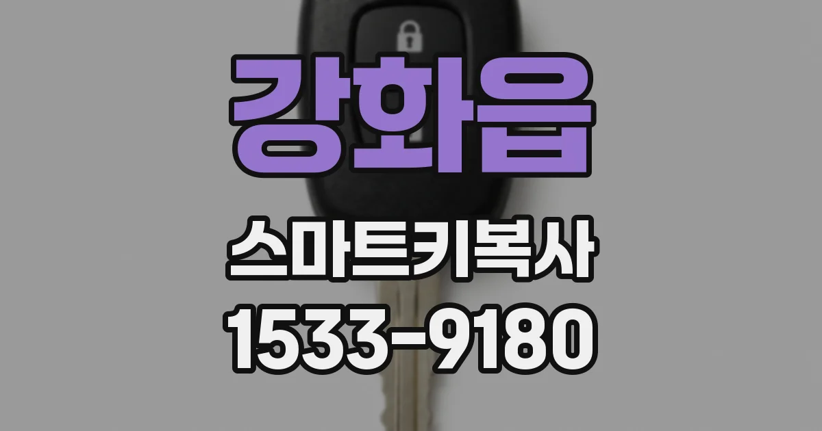 강화읍 스마트키복사