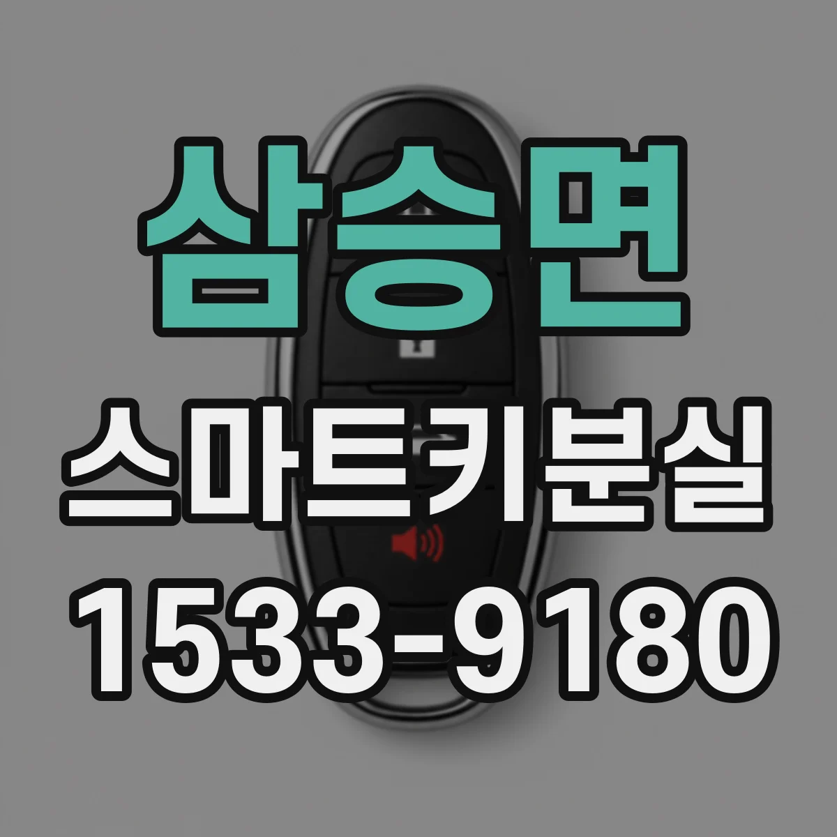 삼승면 스마트키분실