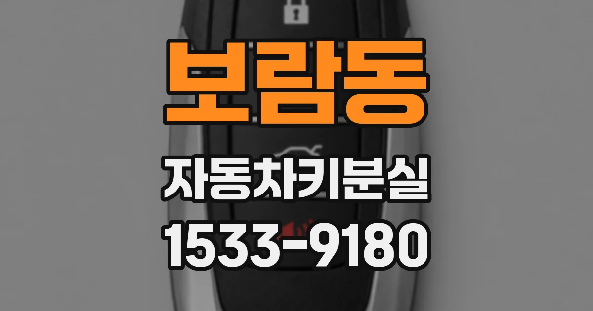 보람동 자동차키분실
