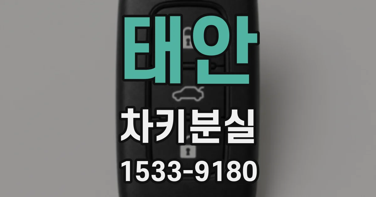 태안 차키분실