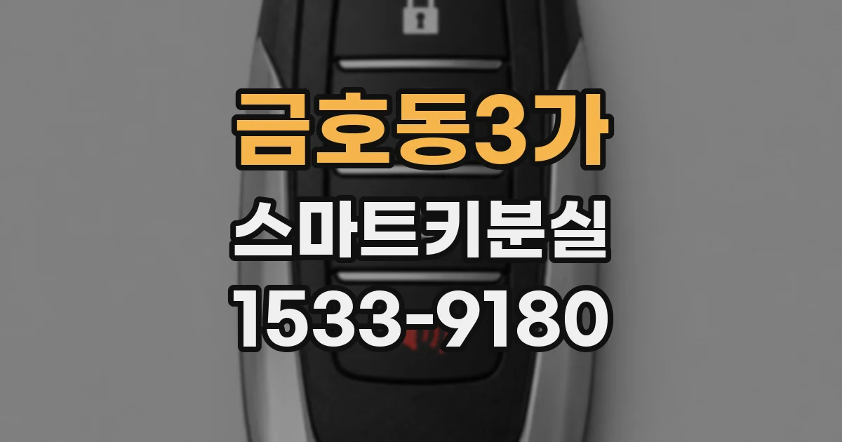 금호동3가 스마트키분실