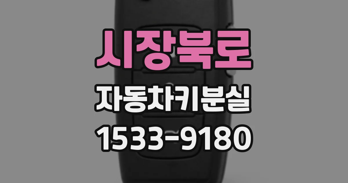 시장북로 자동차키분실