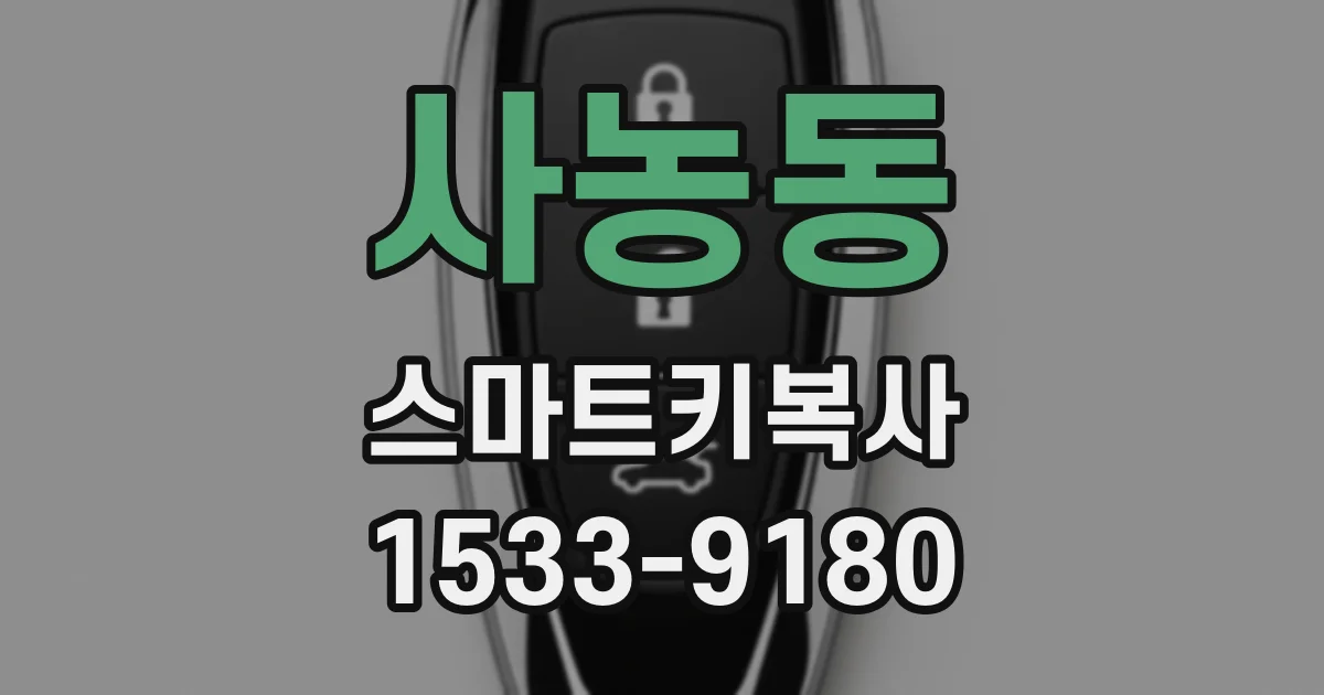 사농동 스마트키복사